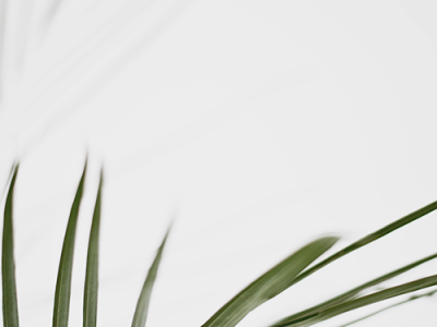 OpenCart 中文专业版博客功能上线！