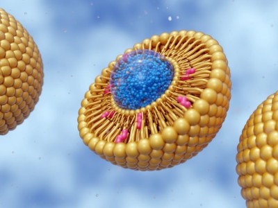 脂质体 NAD+ 的功效 脂质体 NAD+ 的功效